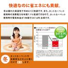 通年使えるラグHOT&COOL（花柄グリーン）190×190 4枚目画像