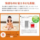 通年使えるラグHOT&COOL(花柄グリーン)190×190 4枚目画像