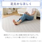 ラグ(NクールSP 185X240 ライトモカ gDS5) 4枚目画像