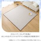 ラグ(NクールSP 185X240 ライトモカ gDS5) 10枚目画像