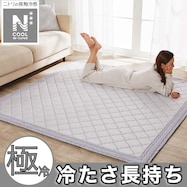 ラグ(NクールWSP グレー gDS6)