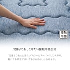 極厚30mmウレタン入り 接触冷感+防汚加工+防音ラグ(NクールSPgPL BL MX38 130X185) 4枚目画像