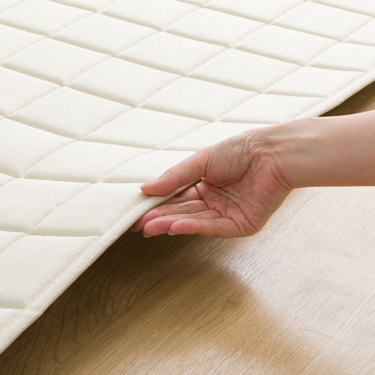 引っかき傷に強い洗えるラグ(200X240 BE NS01) | ニトリネット【公式