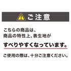 ふんわり なめらか 上質な肌ざわりのマット(90R IV NU01) 2枚目画像