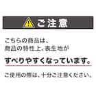 ふんわり なめらか 上質な肌ざわりのマット(60R RO NU01) 2枚目画像