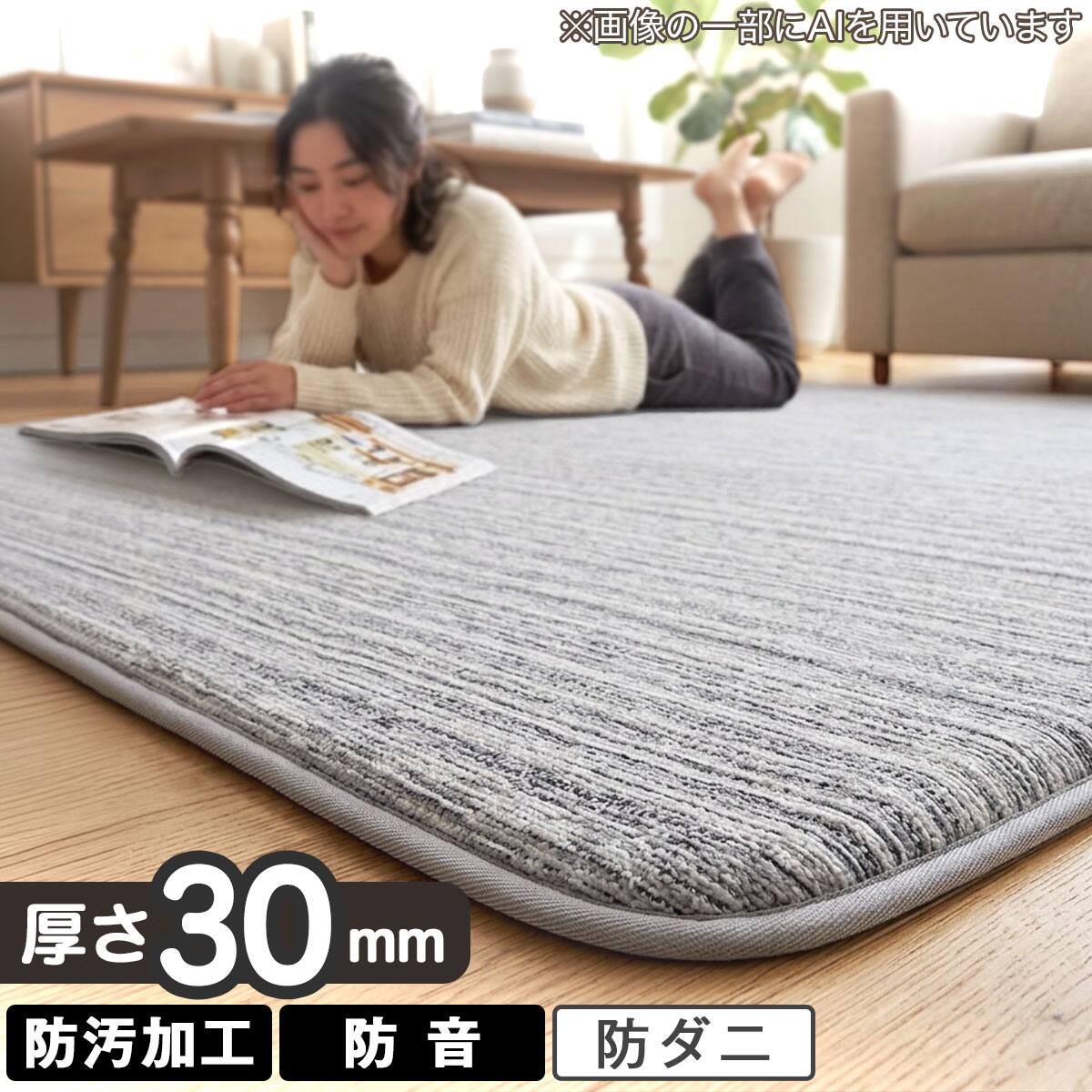 【送料無料】【匿名配送】ネパール絨毯　緞通　240✕170cm sm57-p02.jpg