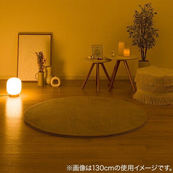 ふんわり、なめらか上質な肌ざわりのラグ(ウサギラグ5 180R LMO NU01) 3枚目画像