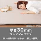 30mmウレタン入り防汚加工+防ダニ加工+防音ラグ(130X185 モカ PL16) 3枚目画像