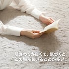 30mmウレタン入り防汚加工+防ダニ加工+防音ラグ(130X185 モカ PL16) 5枚目画像