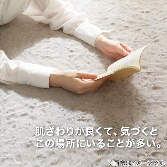 30mmウレタン入り防汚加工+防ダニ加工+防音ラグ(130X185 モカ PL16) 5枚目画像