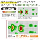 30mmウレタン入り防汚加工+防ダニ加工+防音ラグ(130X185 グレー PL17) 4枚目画像