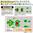 30mmウレタン入り防汚加工+防ダニ加工+防音ラグ(185X185 グレー PL17) 4枚目画像