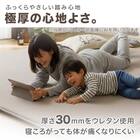 極厚30mmウレタン入り 防汚加工+防ダニ加工+防音ラグ(130X185 MO PL14) 2枚目画像