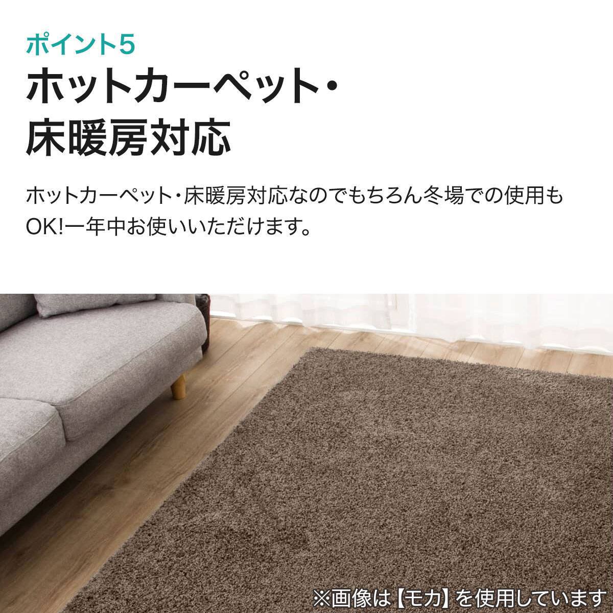 すべり止め付き】ダニよけ・抗菌防臭・防炎カーペット(エアープラス