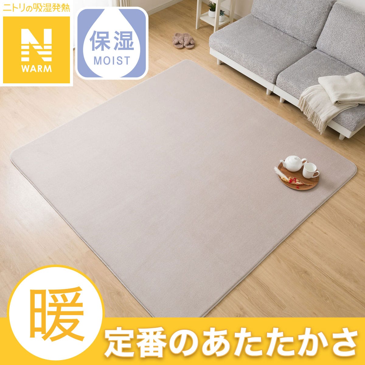 2113100017149s00.jpg?ts=