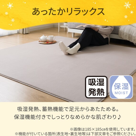 洗える 10mmウレタン入り吸湿発熱+蓄熱+保湿ラグ (Nウォーム185X185 ライトモカ gDA1) 6枚目画像