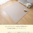 洗える 10mmウレタン入り吸湿発熱+蓄熱+保湿ラグ (Nウォーム185X185 ライトモカ gDA1) 11枚目画像