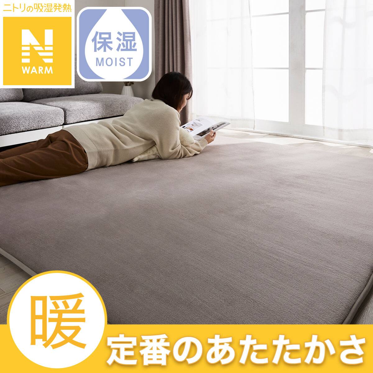 あったか吸湿発熱ラグ(Nウォーム）通販 | ニトリネット【公式】 家具