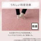 極厚30mmウレタン入り吸湿発熱+蓄熱+保湿+防音ラグ (Nウォーム200X240ラメローズ gDA5) 8枚目画像