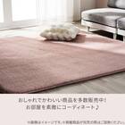 極厚30mmウレタン入り吸湿発熱+蓄熱+保湿+防音ラグ (Nウォーム200X240ラメローズ gDA5) 12枚目画像