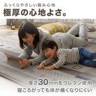 極厚30mmウレタン入り 防汚加工+防ダニ加工+防音ラグ(185X185 GB PL08) 2枚目画像