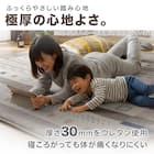 極厚30mmウレタン入り 防汚加工+防ダニ加工+防音ラグ(185X185 GB PL08) 2枚目画像