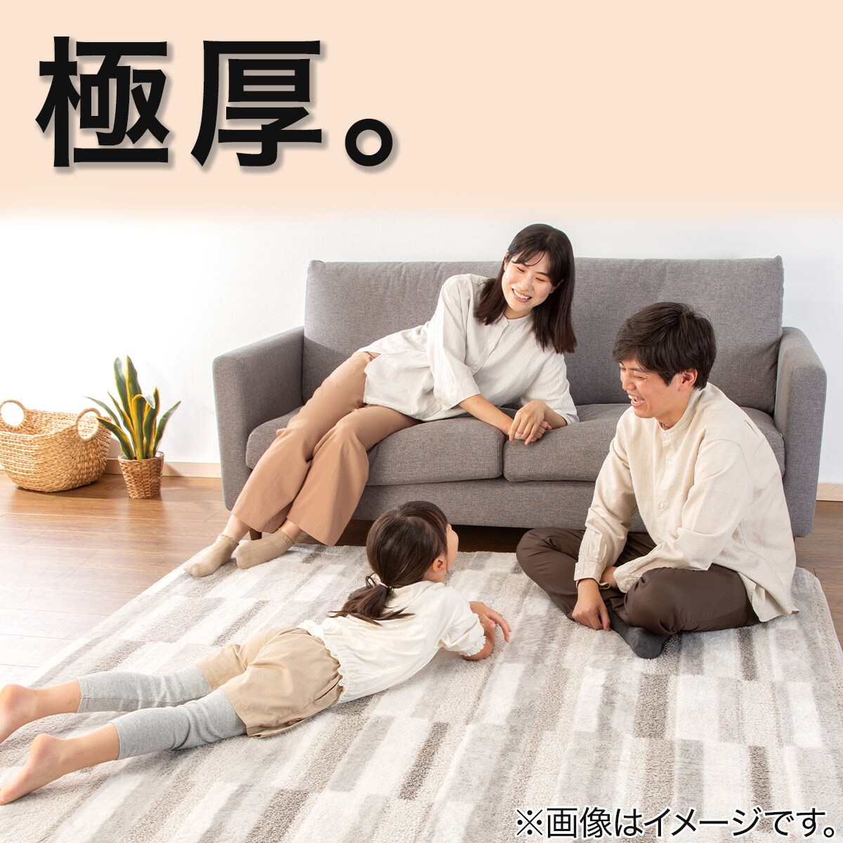 極厚30mmウレタン入り 防汚加工+防ダニ加工+防音ラグ(185X185 BR PL10