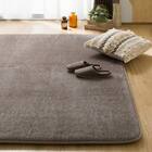 極厚30mmウレタン入り 防汚加工+防ダニ加工+防音ラグ(200X240 GY PL12) 1枚目画像