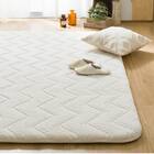 極厚30mmウレタン入り 防汚加工+防ダニ加工+防音ラグ(200X240 IV PL13) 1枚目画像