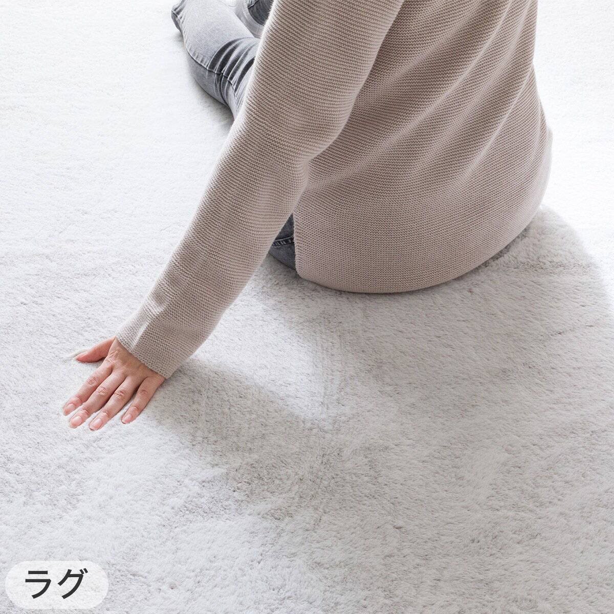 2点セット】洗える 吸湿発熱+蓄熱+保湿 + 抗菌防臭加工+防ダニ加工ラグ