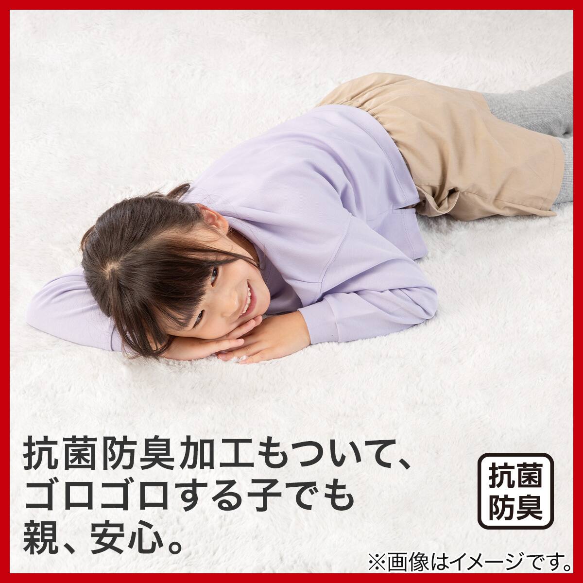 洗える 吸湿発熱+蓄熱+保湿 + 抗菌防臭加工+防ダニ加工ラグ(Nウォーム