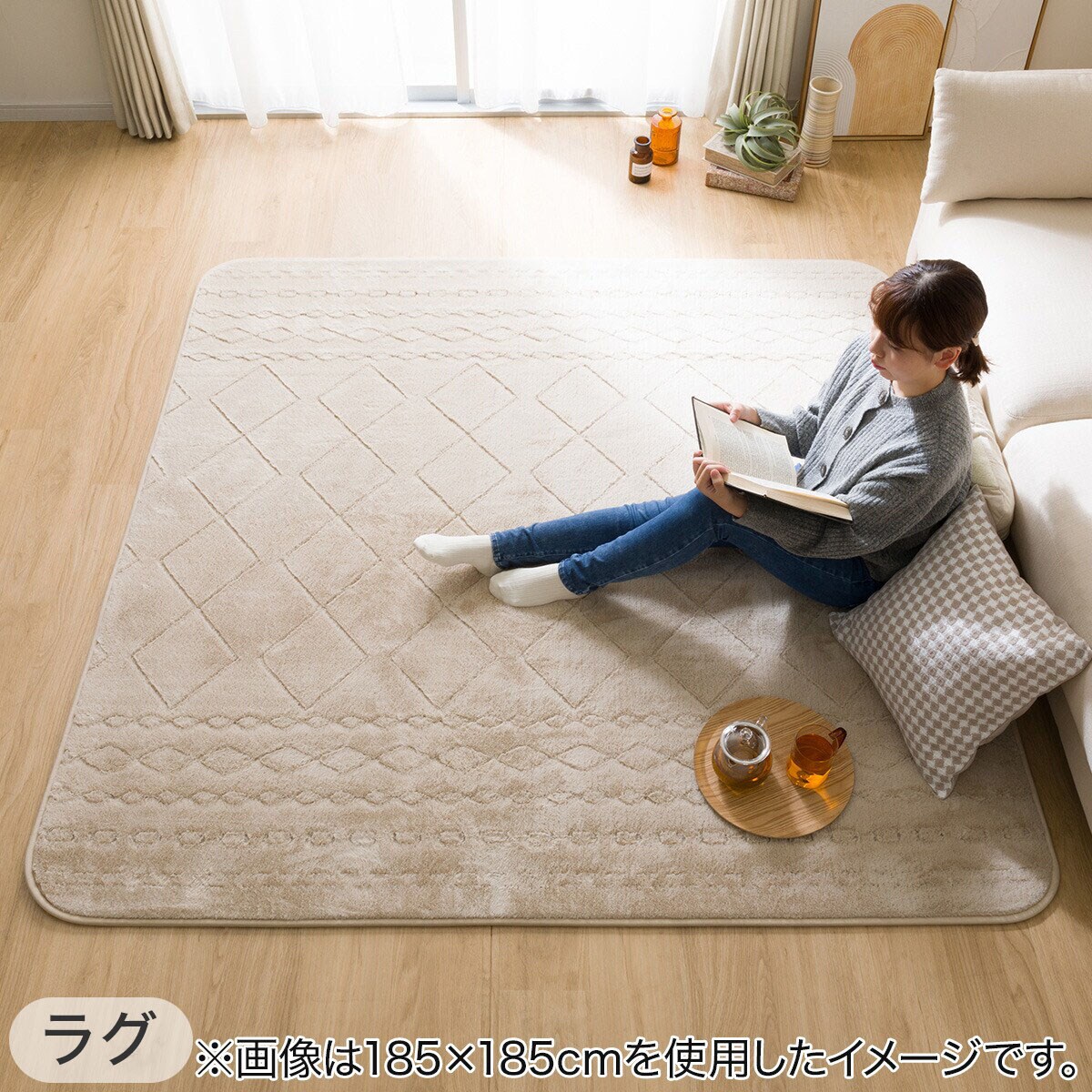 2点セット】洗える 吸湿発熱+蓄熱+保湿 + 抗菌防臭加工+防ダニ加工ラグ