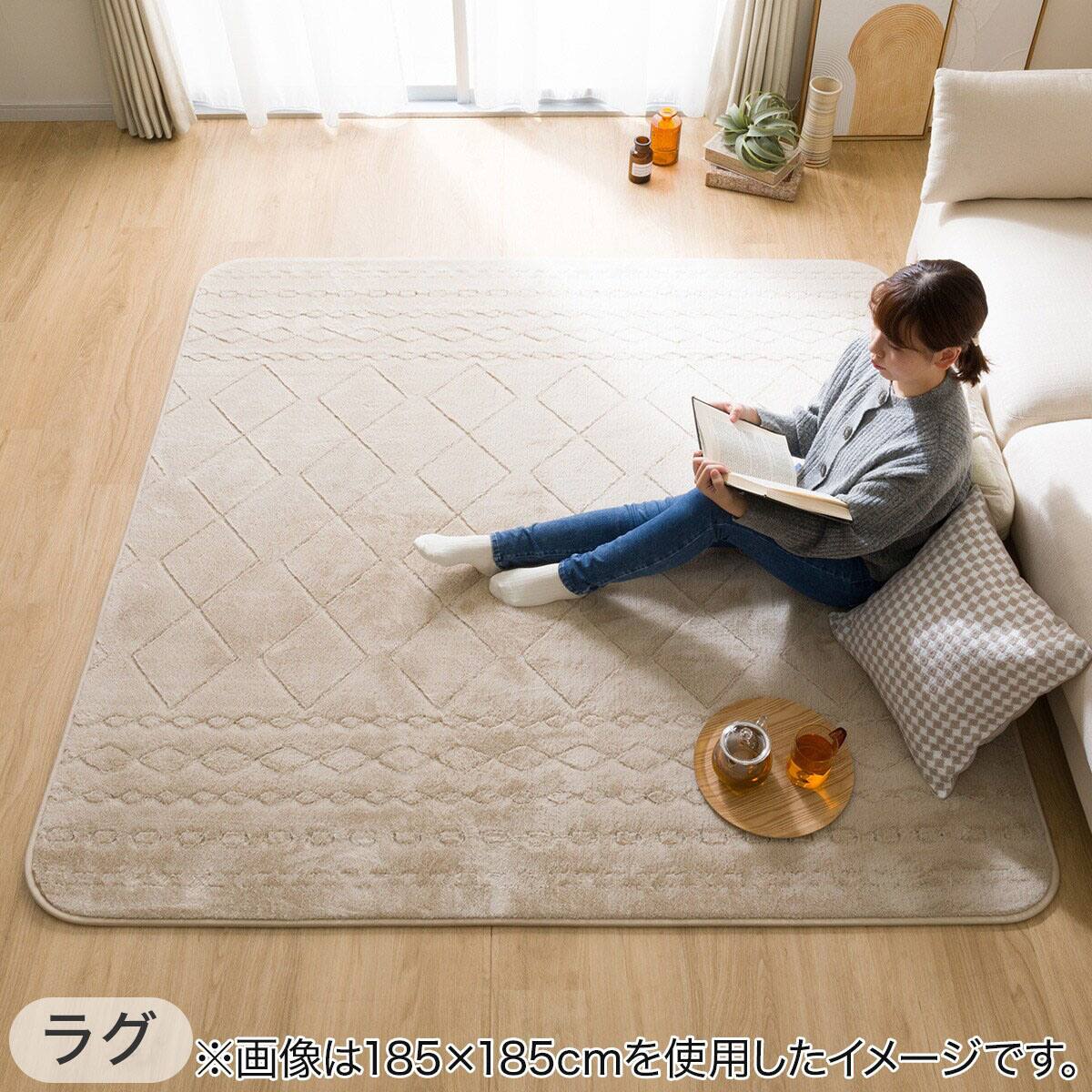 2点セット】洗える 吸湿発熱+蓄熱+保湿 + 抗菌防臭加工+防ダニ加工ラグ