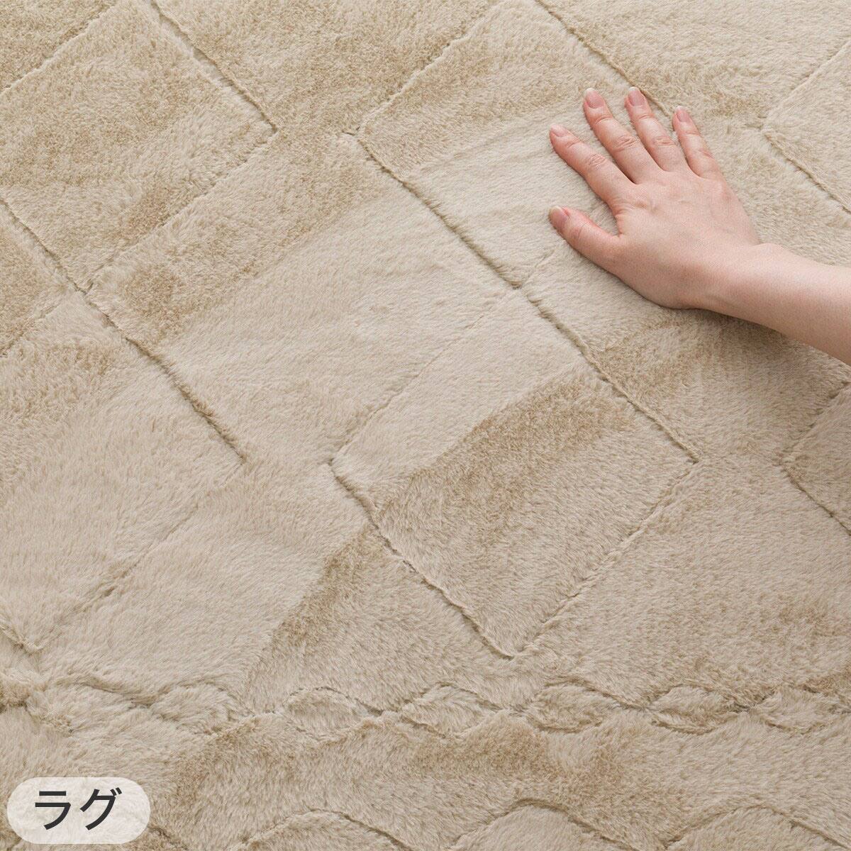 2点セット】洗える 吸湿発熱+蓄熱+保湿 + 抗菌防臭加工+防ダニ加工ラグ