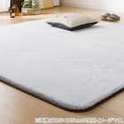 15mmウレタン入り 吸湿発熱+蓄熱+保湿+防音+防汚加工+防ダニ加工ラグ(NウォームWSP P 200X240MO MX54) 3枚目画像