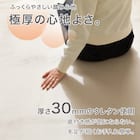 極厚30mmウレタン入り 防汚加工+防ダニ加工+防音ラグ(200X240 MO PL20) 3枚目画像