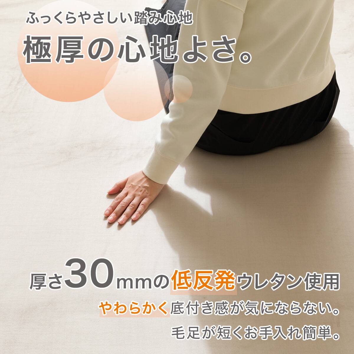 低反発・極厚30mmウレタン入り 防汚加工+防ダニ加工+防音ラグ(200X240