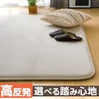 高反発・極厚30mmウレタン入り 防汚加工+防ダニ加工+防音ラグ(130X185 MO PL20k) 1枚目画像