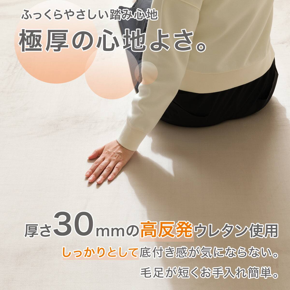 高反発・極厚30mmウレタン入り 防汚加工+防ダニ加工+防音ラグ(185X185