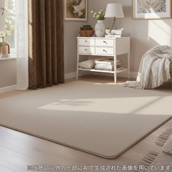 なめらかでやわらかい肌ざわりのラグ(200X240 MO FR02) 2枚目画像