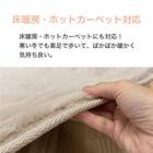 なめらかでやわらかい肌ざわりのラグ(200X240 MO FR02) 4枚目画像