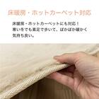 なめらかでやわらかい肌ざわりのラグ(130X185 IV FR02) 4枚目画像