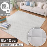 洗える 接触冷感ラグ(Nクール極冷 WY01)