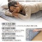 15mmウレタン入り 接触冷感 防汚 ラグ キカ柄(Nクール極冷 PK 185X240 グレーQ02) 4枚目画像