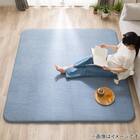 極厚30mmウレタン入り 接触冷感ラグ ジャカード(Nクール極冷 130X185 ブルー Q03) 9枚目画像