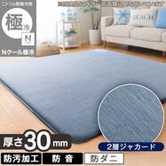 極厚30mmウレタン入り 接触冷感ラグ(Nクール極冷 rLJ Q03)
