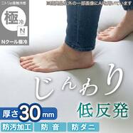 低反発 極厚30mmウレタン入り 接触冷感 防汚 ラグ(Nクール極冷 rTL Y02)