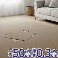 洗えるタイルカーペットLT 50X50cm(SL03)