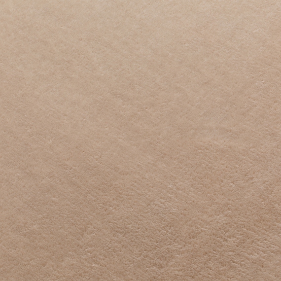 ウレタン入りラグ(185X185 ベージュ WY06) 3枚目画像