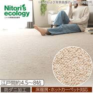 カーペット(RC05)